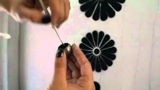 Pintaera