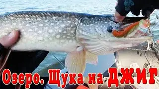 Ловля щуки на джиг осенью. Рыбалка на озере
