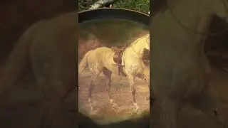 СТОЛИК СО СЪЁМНЫМ ПОДНОСОМ, ЭТО ГЕНИАЛЬНО 🥰💝 | ГЕРМАНИЯ | 💫 Telegram в профиле и комментариях! ⬇️