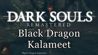 Dark Souls: Black Dragon Kalameet Caestus Quality Build