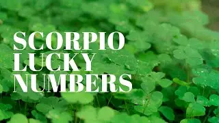 Scorpio May 2021 Lucky Numbers