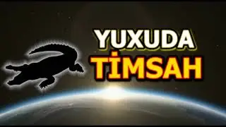 Yuxuda timsah gormek