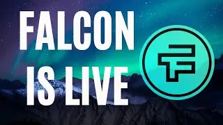 Falcon Project | Review from Operation Crypto | Update 1