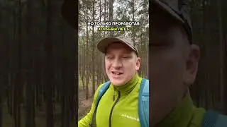 Как быстро стать сеньорным проектным менеджером? 👩‍🎓 #работавайти #айтишник #shorts