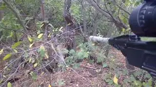 hunting for forest game with pneumatics mp512