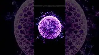 [UE5] Энергетические щит #ue5#vfx