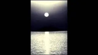 In the Still of the Night