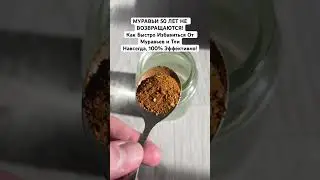 ANTS HAVE NOT COME BACK IN 50 YEARS! How to Quickly Get Rid of Ants and Aphids Forever, 100% Effe...
