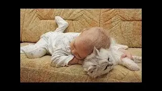 「絶対に笑う」あり得ないことをする犬★おもしろい犬のハプニング, 失敗画像集 #42