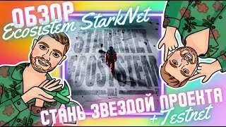 Ставим ноду StarkNet | Обзор экосистемы | Как получить роль Star