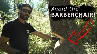 A day on the Homestead | How to Fell a Tree