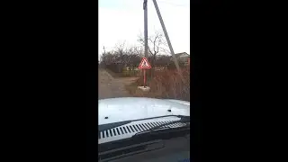 [Natalex] Пешеходный переход #shorts