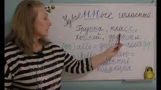 УДВОЕННЫЕ СОГЛАСНЫЕ В СЛОВАХ