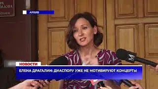 Елена Драгалин: Диаспору уже не мотивируют концерты
