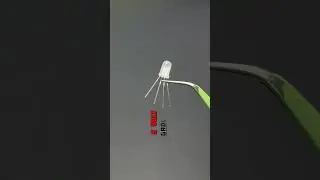 RGB LED vs Neopixel LED 