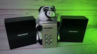 Fishman Platinum Stage - O Melhor Preamp para Som Acústico!
