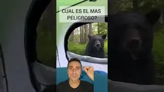 Encuentros peligrosos mientras duermes.
