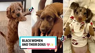 Black Women & Their Dogs | Funny TikTok Compilation 2026 