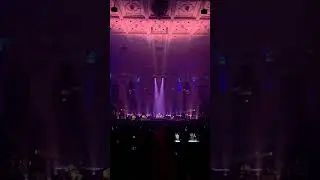 Rishab @rishabsmusic Live from Amsterdam | Europe Tour | Sitar for Mental Health