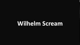 Wilhelm Scream sound effect