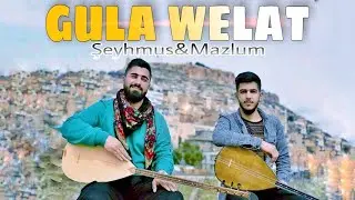 Şeyhmus&Mazlum - GULA WELAT (Official Video)