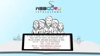 Hire Professional Website Designer for Your Business Success