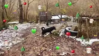 Зима на Юге Ашалеть Даже ❄️😍