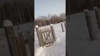 И смех и грех...