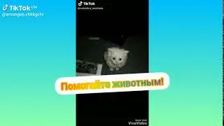 НЕ ПРОХОДИ МИМО!