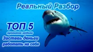 ТОП 5 Недели По Заработку Без Вложений. Заставь Деньги Работать На Себя.