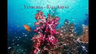Yenbubba - Raja Ampat