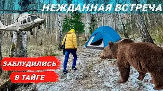 Неожиданная встреча! Заблудились, но запечатлели красоту местной природы | лес | отшельники | агафья