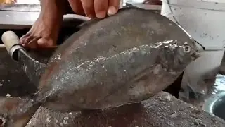 Amazing koybol fish cutting skills | Super fast fish cutting