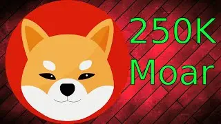 I Bought 250k Shiba Inu Tokens