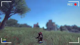rust is a strange game...