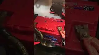 Самая верная боевая Подруга ЖИЗЕЛЬ .🔥🔥С момента основания Дукальских Колдунов , до сих пор в строю