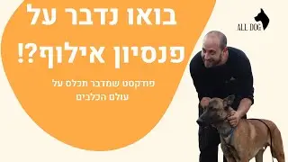 פרק ראשון אילוף בתנאי פנסיון
