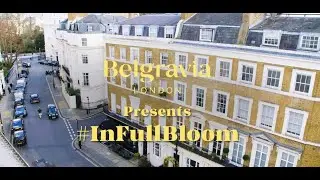 Belgravia Spring - In Full Bloom
