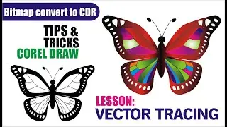 Bitmap Image to Convert to CDR in CorelDraw | Vector Tracing in CorelDraw by Amir Academy