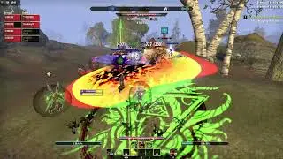 ESO PvP | Necrom | 8v15 GvG vs. Yellow Fever