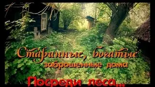 What did I find in the forest? The melancholy and darkness of an abandoned house - Abandoned World