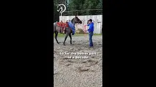Get To Know Your Horse Before Riding Them! | The Horse Guru-Michael Gascon