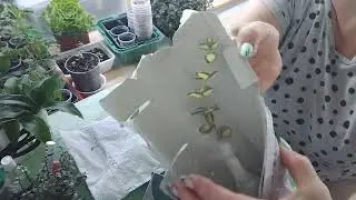 🔥ОЧИТКИ🔥РАСПАКОВКА