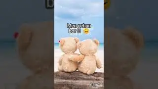 Seni Sevib Qolganman ! Eshityapsanmi ??