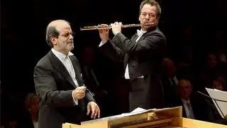 Vivaldi: Flute Concerto 