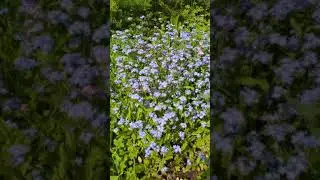 VID 20200530 151941