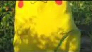 Wild Pikachu Productions