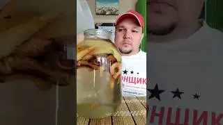 ЯБЛОЧНЫЙ ВИСКИ просто приготовить, вкусно пить☝