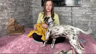 Распаковка и примерка худи от Sovani_FD / Настасья Лебедева