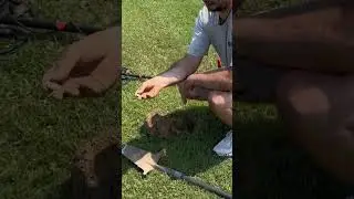 @rustyrelicsmetaldetectingn9322 Finds a Silver Coin in a Park #metaldetecting #treasure #coin